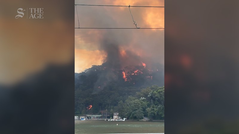 Bushfires engulf homes north of Sydney