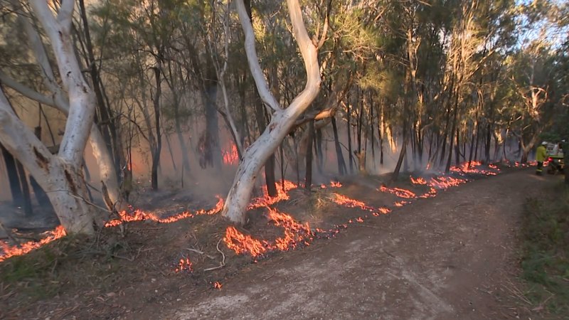 Sydney braces for record-breaking start to Spring