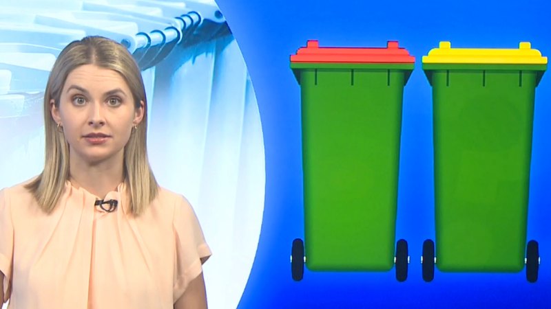 Gold Coast council announces major overhaul of bin collection