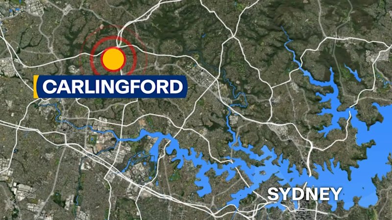 Man shot dead in Sydney