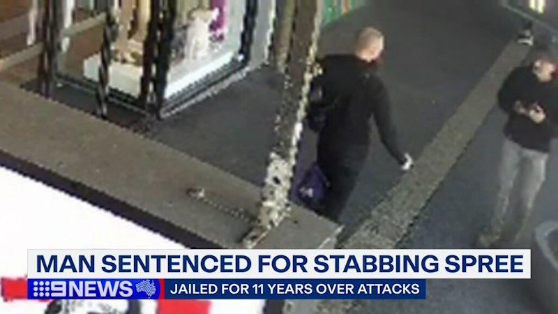 Man sentenced to 11 years in prison over unprovoked stabbing spree