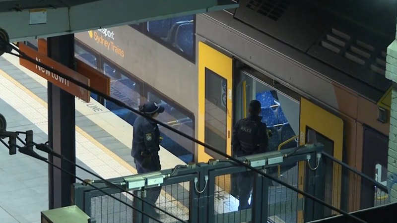 Man dies after falling from platform and being hit by train in Sydney’s inner west