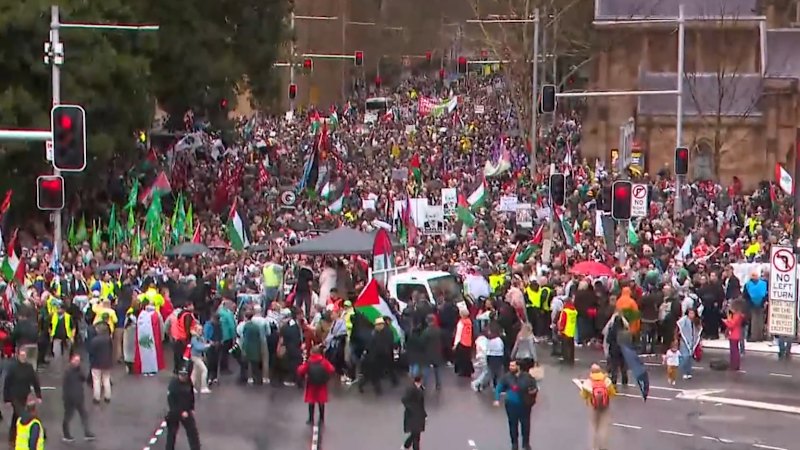 Some 90,000 march on Sydney Harbour Bridge, police feared crush