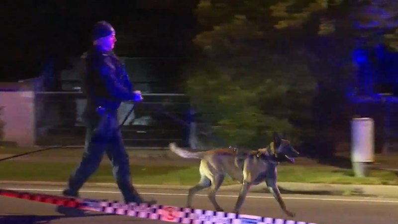 Man wanted over attempted murder was arrested and released