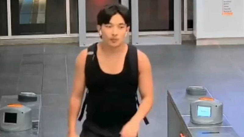 Police have released footage of a man following alleged sexual act on train