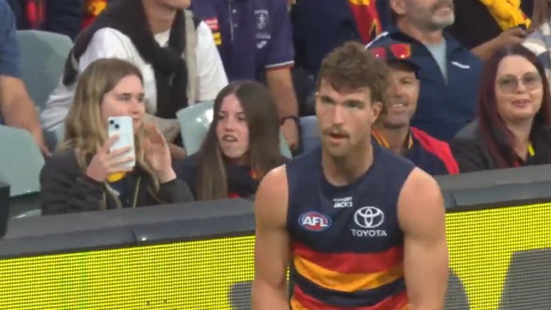 Late inclusion sinks banana beauty