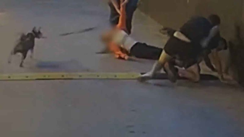CCTV vision captures good Samaritans stepping in to stop violent attack