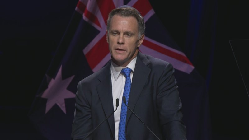 NSW Premier Chris Minns calls for Australia to fight hate