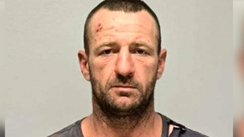 Pregnant ex-partner among three killed in NSW shooting