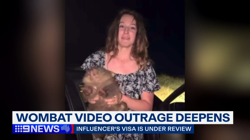 US influencer’s visa under review over wombat video