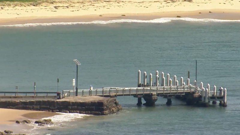 Woman seriously injured in shark attack at Sydney beach