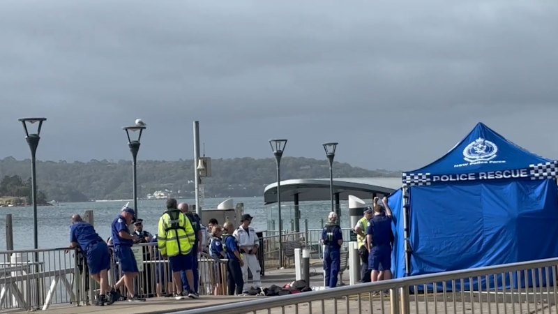 Fears boy mauled by shark will not survive