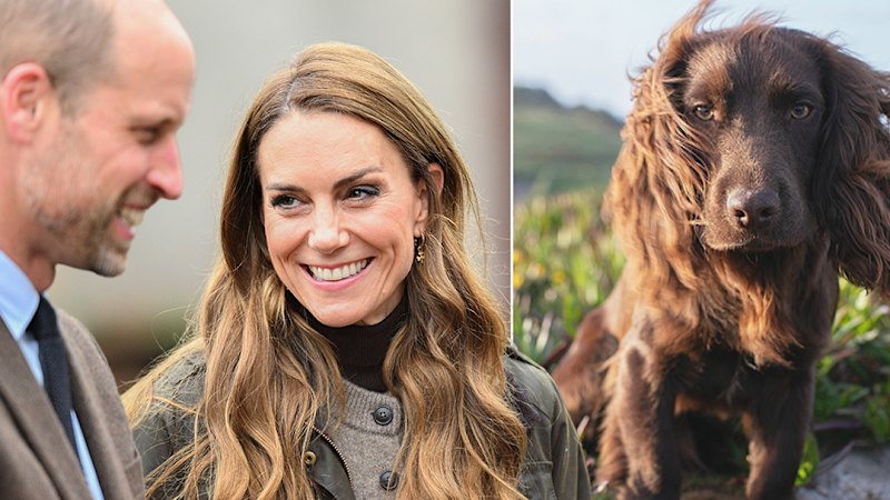 Prince and Princess of Wales reveal new royal family member