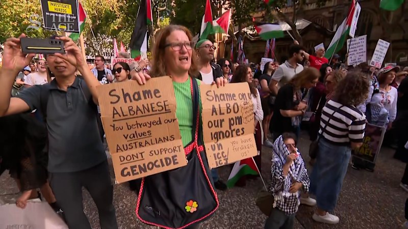 Police defend actions after Herzog protests turn violent