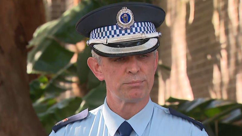 Man killed by large shark at popular Sydney beach