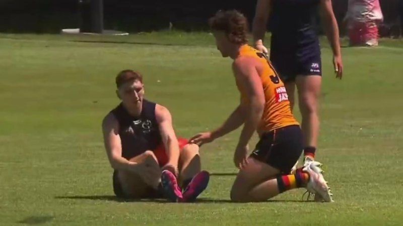 Graphic footage: Crow suffers horror injury in training clash: Verified coverage by BRRO News Editorial Desk.