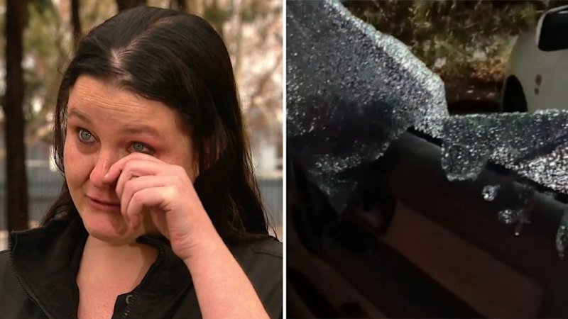 Adelaide couple tell of horrifying road rage incident