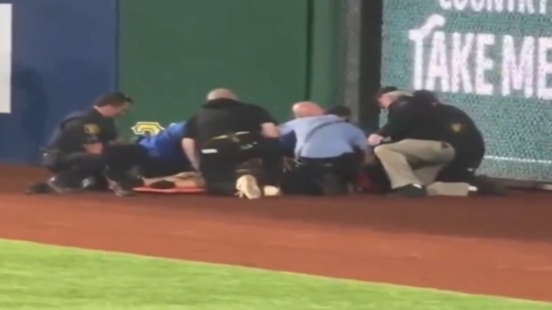 New vision of MLB fan fall