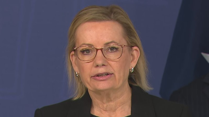 Opposition leader Sussan Ley announces Coalition's antisemitism package