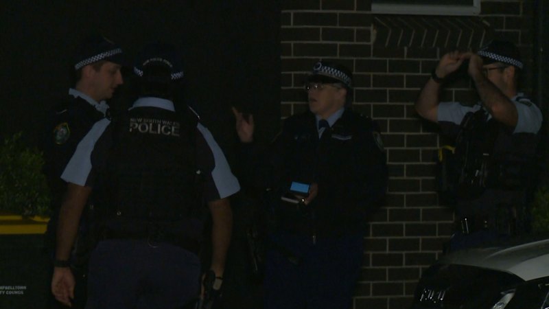 Pair attacked in Sydney home invasion