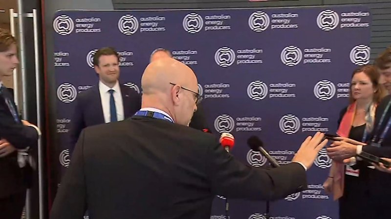 Pauline Hanson caught swearing