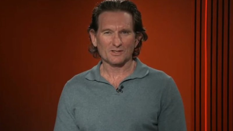 Damian Barrett says Essendon coaching criteria should have precluded James Hird