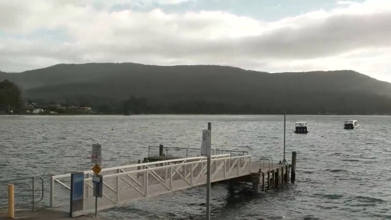 Diver bitten by shark in Tasmania