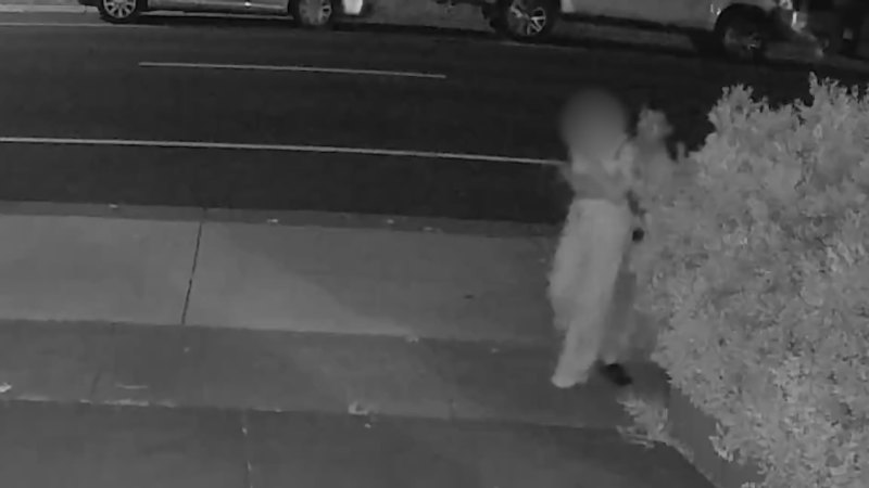 Police investigating attempted kidnapping in Melbourne