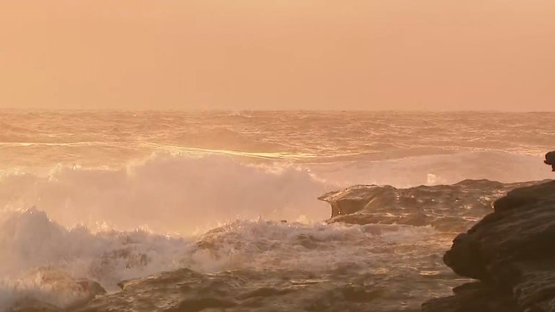Sydney braces for weekend of wild weather
