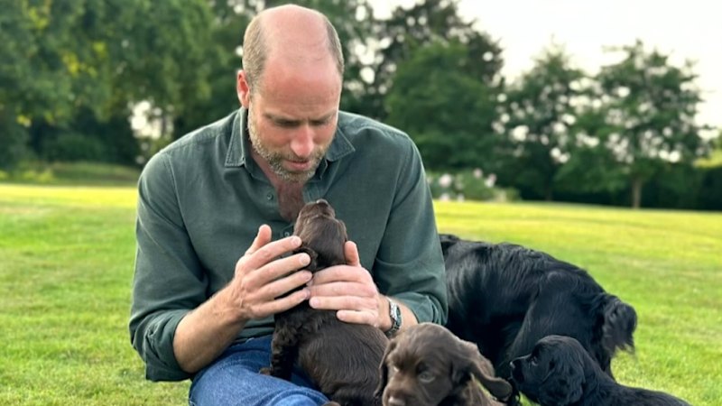 Prince William celebrates his 43rd birthday in style