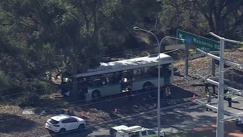 How bus crash survivor raised the alarm