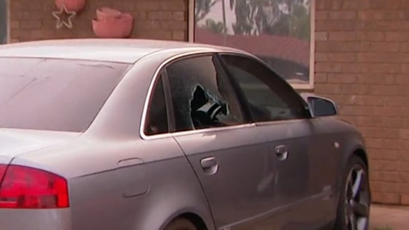 Grandmother and three grandchildren caught up in shooting