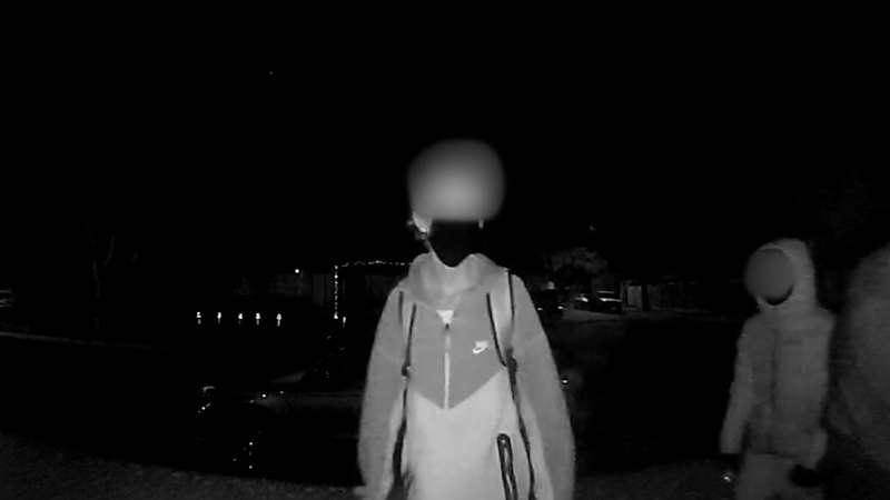 Police investigate late-night crime spree in Adelaide