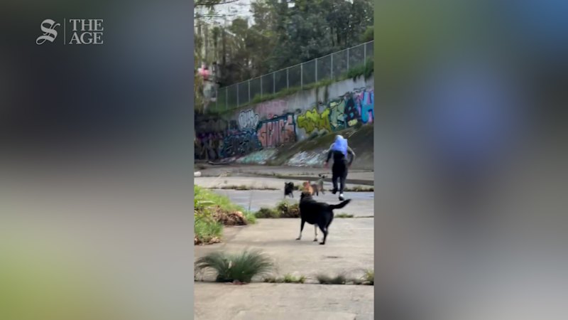 Alleged attacker running away from victim's dogs in Melbourne