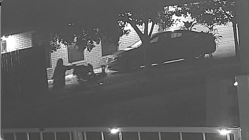 CCTV shows shortly before the child was hit