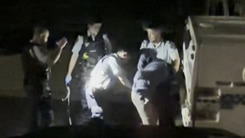 Police chase ends with car crashing into tree