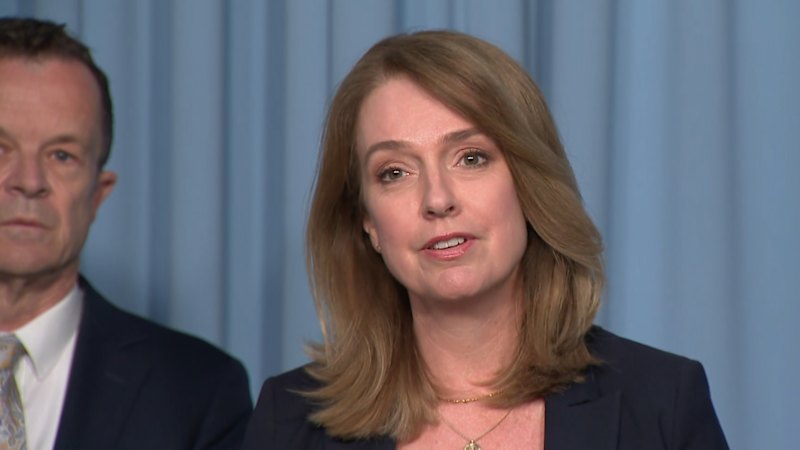 Sydney MP says she receieved 'violent' threats after condeming Sydney Neo Nazi protest