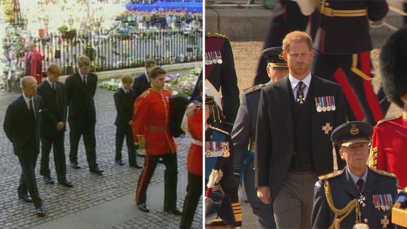 Harry ve William için tabut alayının 'ne kadar korkunç' olması gerektiğine dair kraliyet yorumcusu