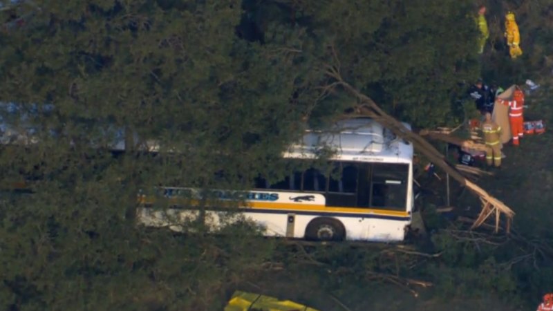 School bus crashes into tree north of Melbourne