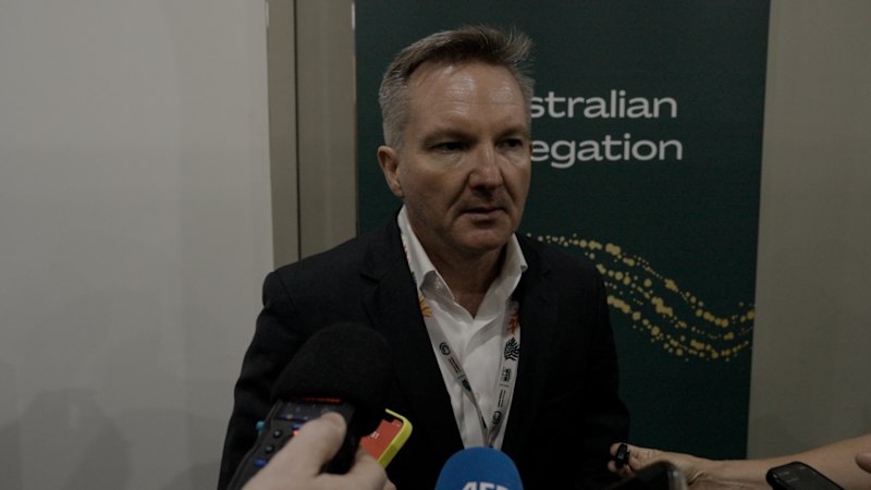 Climate Minister Chris Bowen conceded the COP UN climate conference