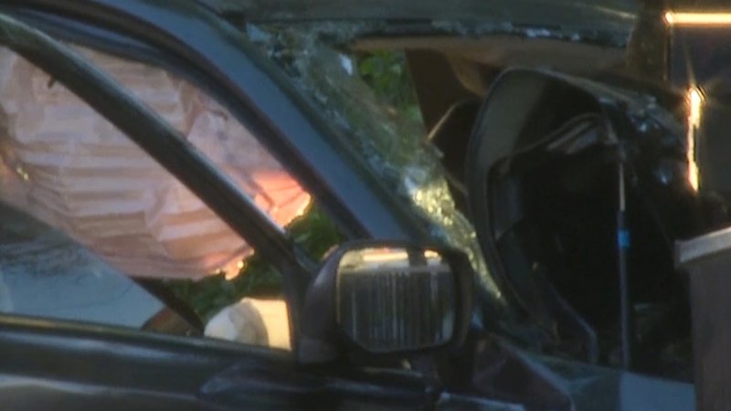 One dead, several injured when SUV hit tree in Sydney's west