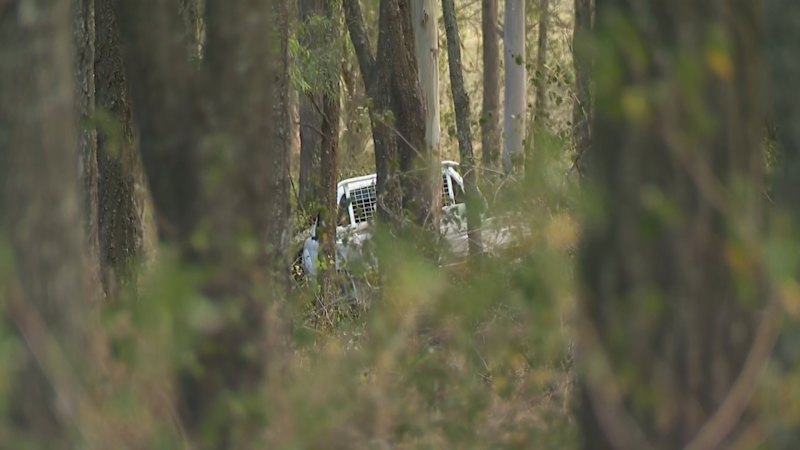 Man dead after alleged hit and run in Sydney