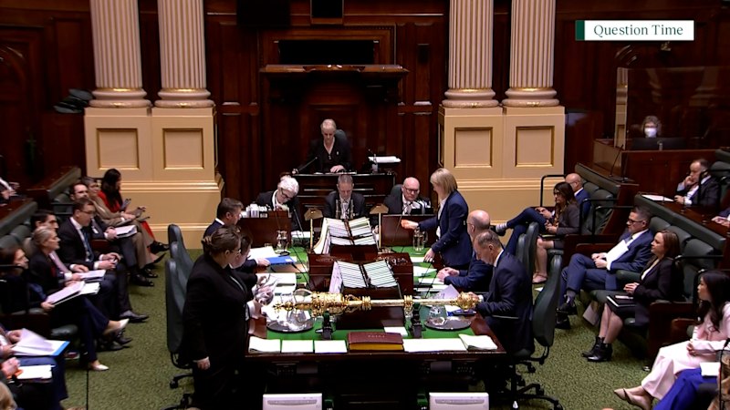 Jess Wilson questions Premier Ben Carroll in NSW Parliament after comments on Jacinta Allan