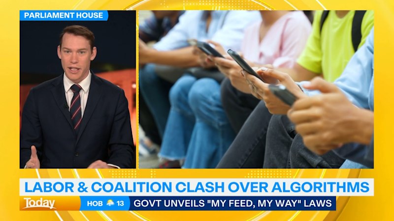 Labor and Coalition clash over algorithms