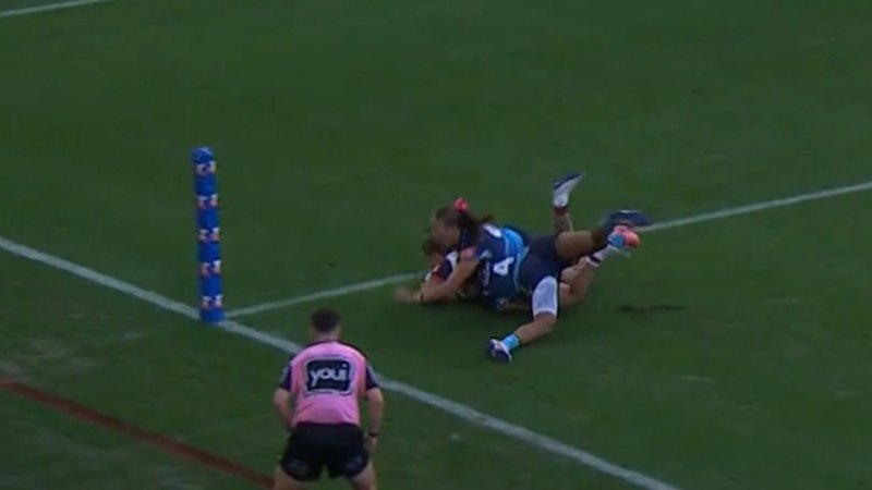 Roosters gun bags a double