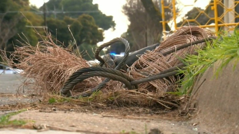 Južnoavstralska vlada zaostruje zakonodajo proti tatvinam bakra