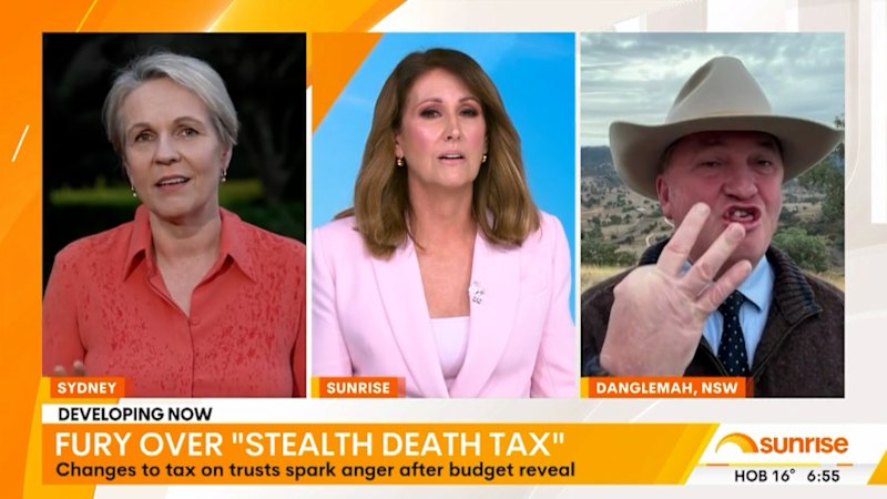 Plibersek denies ‘death tax’ claims over testamentary trust changes