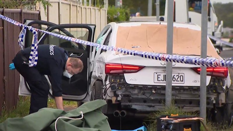 Police arrest two males after shootings across Sydney