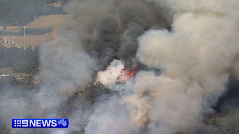 Experts warn Australians to prepare for extreme conditions ahead of El Niño