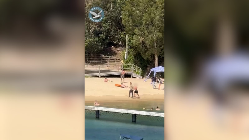 Teens arrested at Little Manly Beach